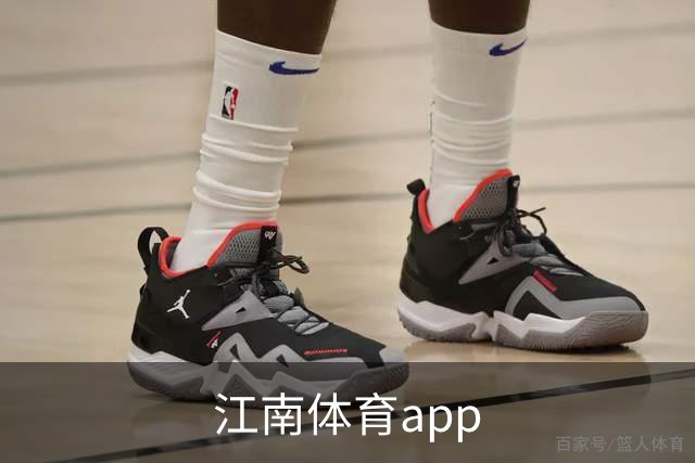 江南体育app公司简介图片